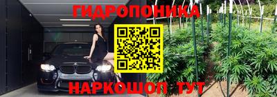 гидропоника Пушкино