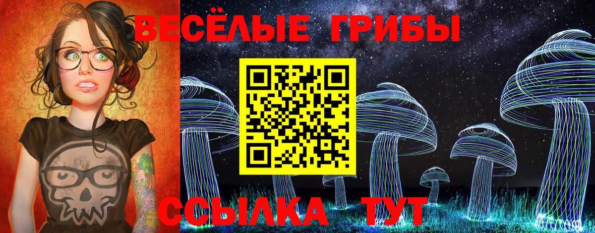 Галлюциногенные грибы Psilocybe Георгиевск