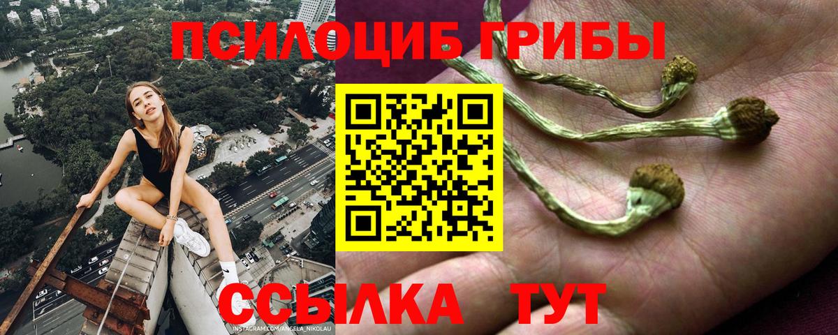 Галлюциногенные грибы Magic Shrooms  Вход с VPN  Георгиевск  Галлюциногенные грибы прущие грибы 