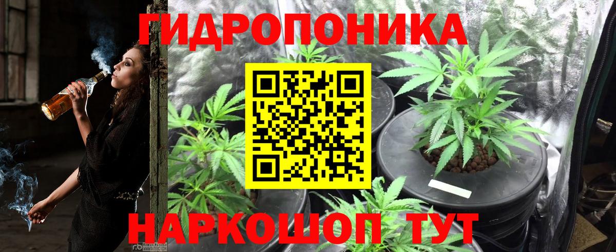 Каннабис планчик Георгиевск